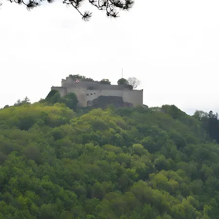 Fewo-alb-traum Appartement *