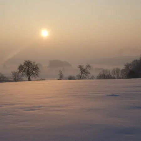 公寓 Fewo-alb-traum Erkenbrechtsweiler